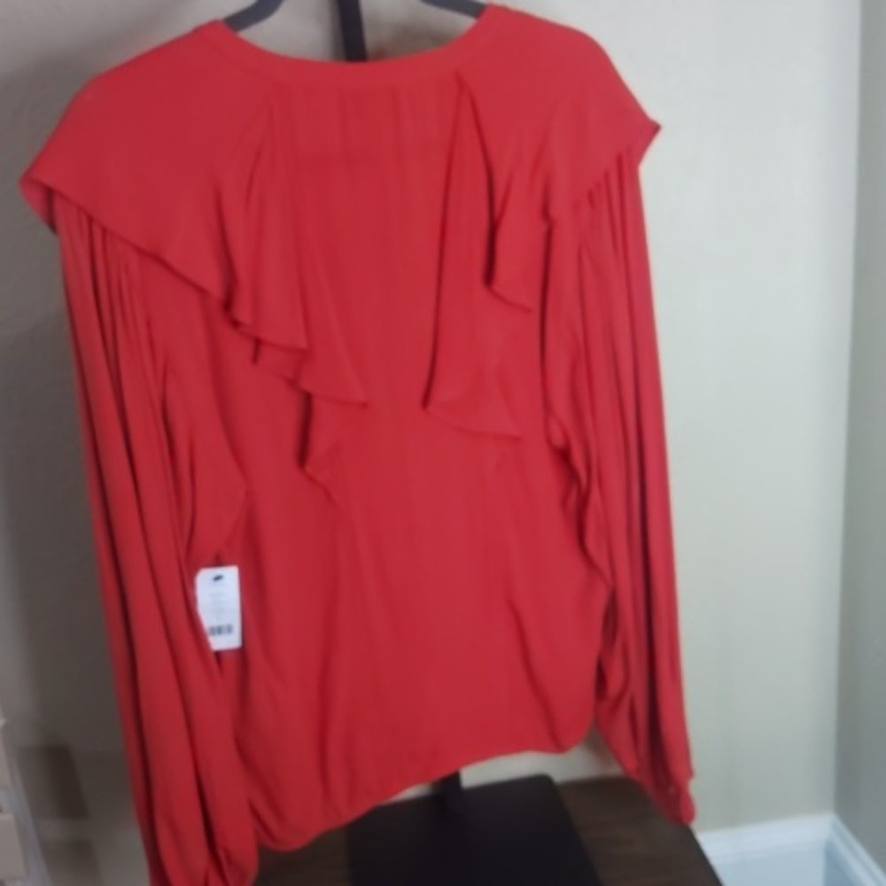 NWT SIZE S Joie Pink Ruffled Blouse with Long Sleeves