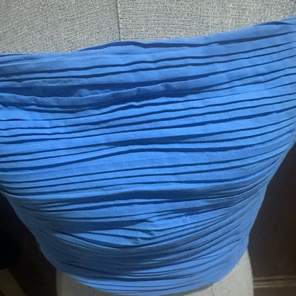 NWOT SIZE 10 Madewell Sky Blue Ruched Crop Camisole