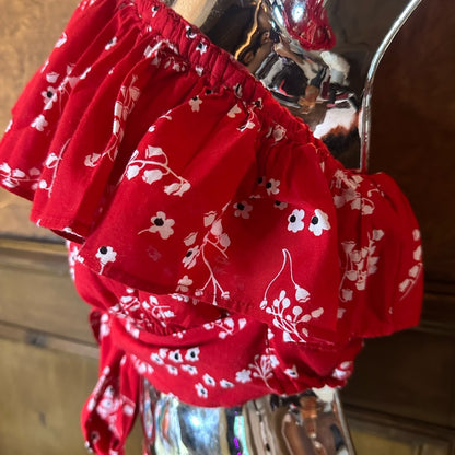 Red Asymmetrical Sleeveless Blouse with Ruffled Tie Front