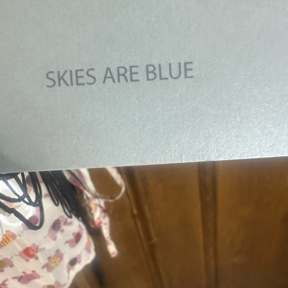 NWT SIZE L Skies Are Blue Cream Pink Sleeveless Blouse