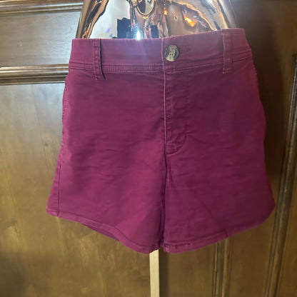 American Eagle Outfitters High Waist Red Shorts