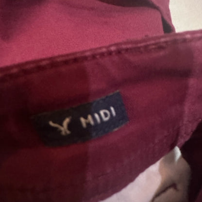 American Eagle Outfitters High Waist Red Shorts