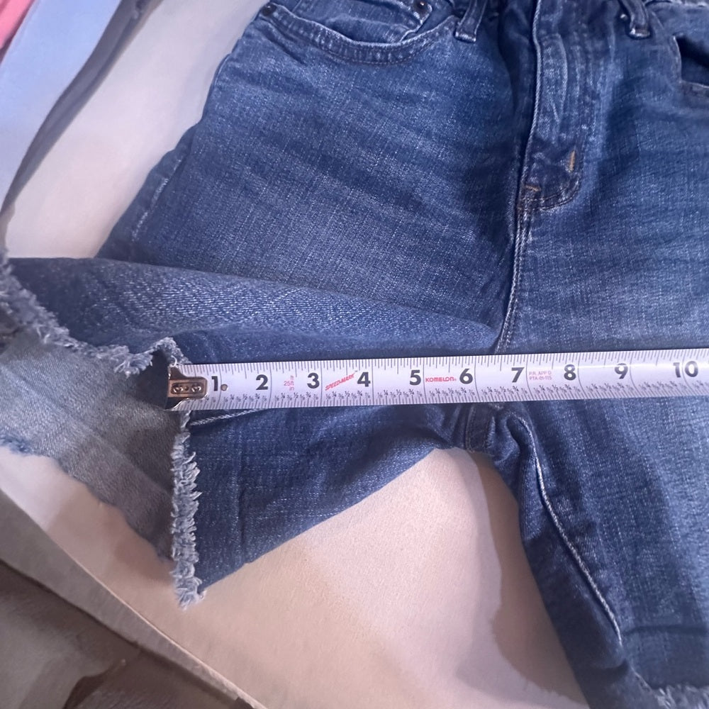 J. Crew Classic Blue Denim Shorts