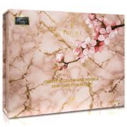 NEW Pink and Silver Skincare Tool Set