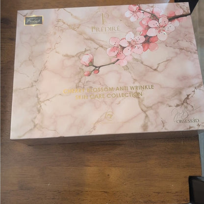 NEW Pink and Silver Skincare Tool Set