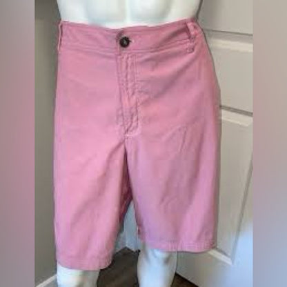 SSIZE 34 Lululemon Athletica Pink Flat Front Shorts