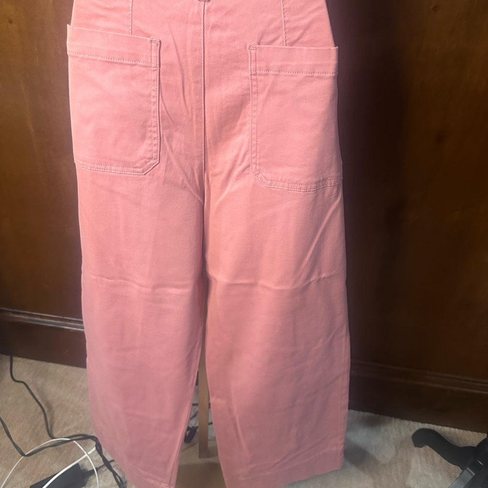 NWT SIZE 12 Kathy Ireland Pink Ankle Pants