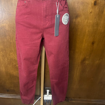 NWT SIZE 2/26 Tractr Burgundy Skinny Jeans