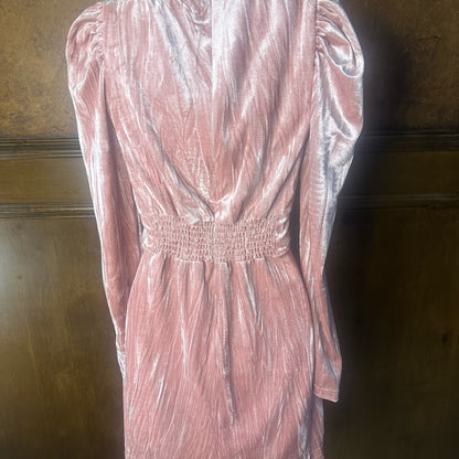 NWT SIZE 4 Rachel Parcell Pink Velvet Long Sleeve Dress