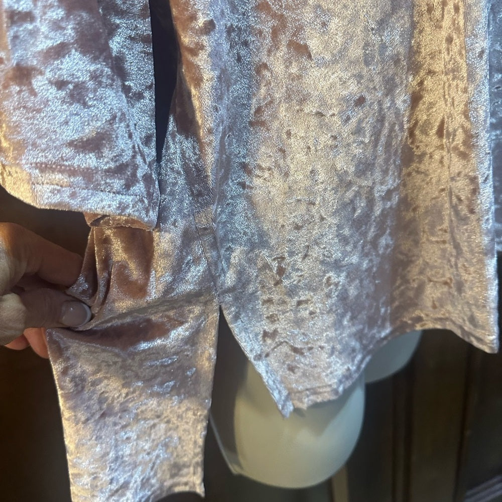 NWOT SIZE S POL Pink Velvet Blouse