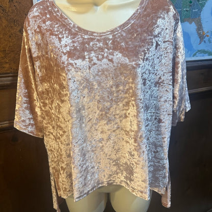 NWOT SIZE S POL Pink Velvet Blouse