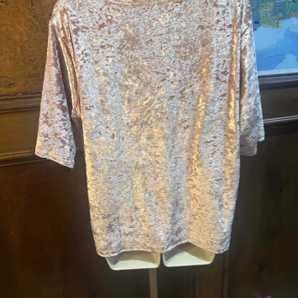 NWOT SIZE S POL Pink Velvet Blouse