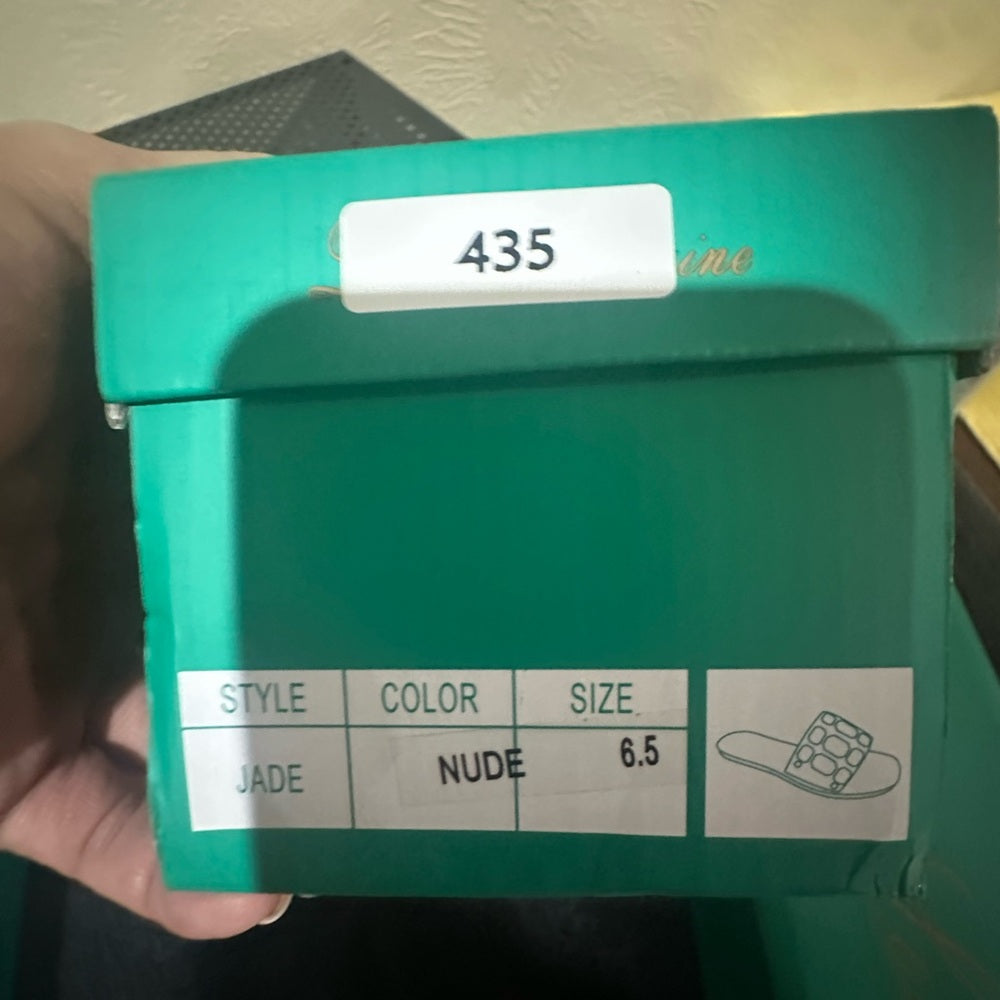 435.437. NEW SUZE 6.5/7 Elegant Clear Sandals with Silver Accents